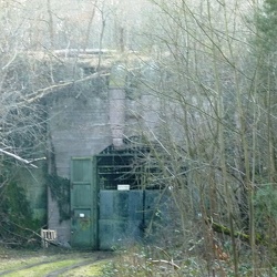 im Wald und der Bunker